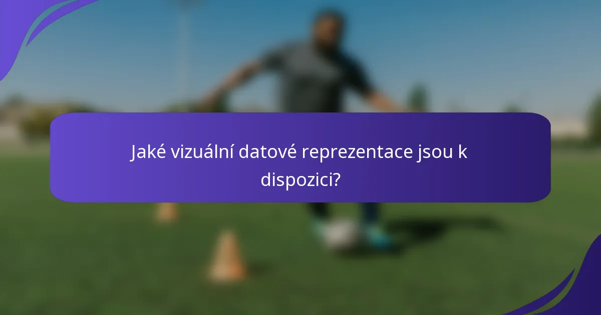 Jaké vizuální datové reprezentace jsou k dispozici?